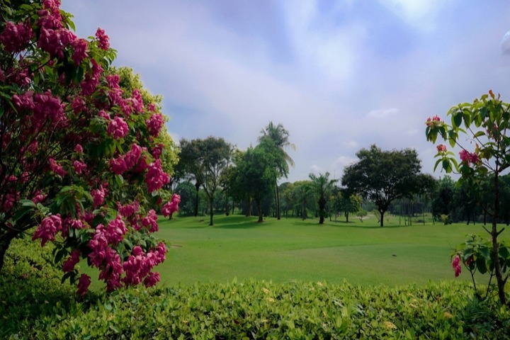 상품 이미지 15